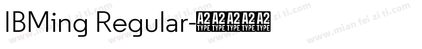IBMing Regular字体转换